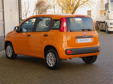 Fiat Panda - 1.2 69pk Easy *RIJKLAAR - 1