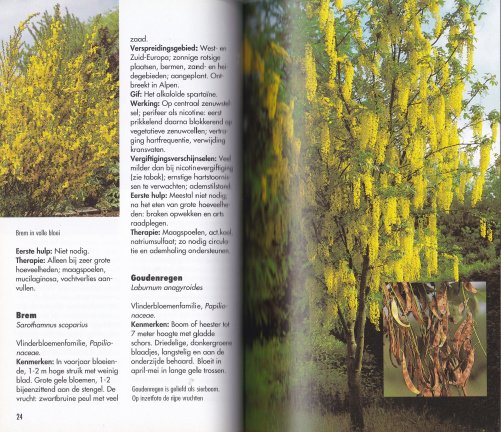 Gids van giftige planten en dieren - Afbeelding 4