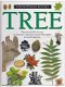 Tree - 1 - Thumbnail