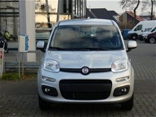 Fiat Panda - 1.2 Lounge | Airco | Radio | Metallic lak