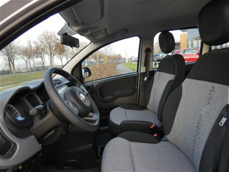 Fiat Panda - 1.2 Lounge | Airco | Radio | Metallic lak - 1