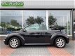 Volkswagen New Beetle Cabriolet - - 1.6 Turijn Comfort AIRCO-LMV-CRUISE - 1 - Thumbnail