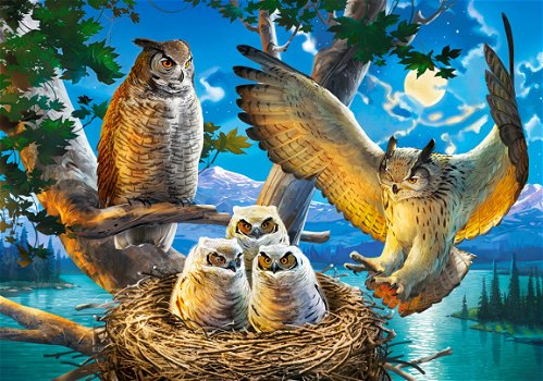 Castorland - Owl Family - 500 Stukjes - 1