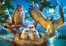Castorland - Owl Family - 500 Stukjes