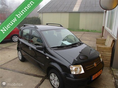 Fiat Panda - 1.2 Dynamic - 1