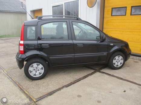 Fiat Panda - 1.2 Dynamic - 1