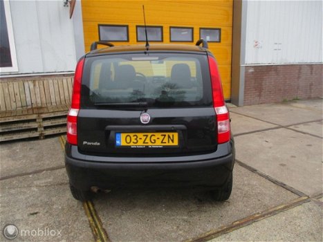 Fiat Panda - 1.2 Dynamic - 1