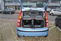 Fiat Panda - 1.2 Edizione Cool - 1 - Thumbnail