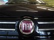 Fiat Panda - 1.2 Edizione Cool / AIRCO / DAKRAILS - 1 - Thumbnail