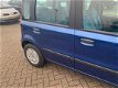 Fiat Panda - 1.2 Dynamic GERESERVEERD - 1 - Thumbnail