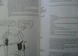 Holistix - Je goed voelen en er goed uitzien - Carole Caplin