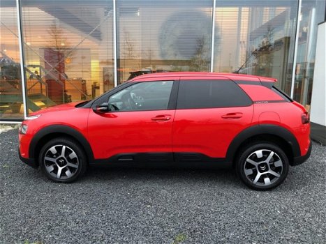 Citroën C4 Cactus - 1.2 PureTech Shine Navi NL auto Apple carplay/android auto - 1