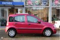 Fiat Panda - 1.2 Edizione Cool - 1 - Thumbnail