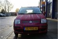 Fiat Panda - 1.2 Edizione Cool - 1 - Thumbnail