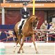 dressuur en jumping paard merrie dochter wan wereldkampioen Westpoint x Jazz - 2 - Thumbnail