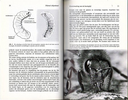Thieme's Bijenboek - 4