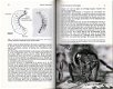 Thieme's Bijenboek - 4 - Thumbnail