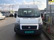 Fiat Ducato - 1 - Thumbnail