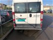 Fiat Ducato - 1 - Thumbnail