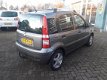 Fiat Panda - 1.2 Edizione Cool - 1 - Thumbnail