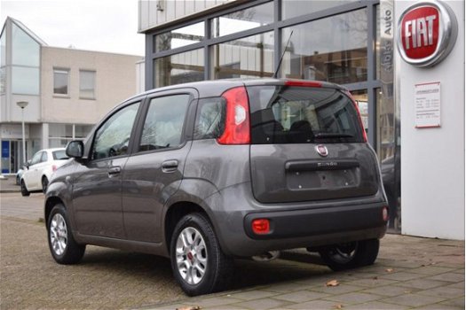 Fiat Panda - 1.2 Lounge - 1