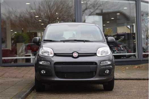 Fiat Panda - 1.2 Lounge - 1