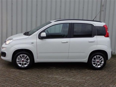 Fiat Panda - Nuova 1.2 Lounge - 1