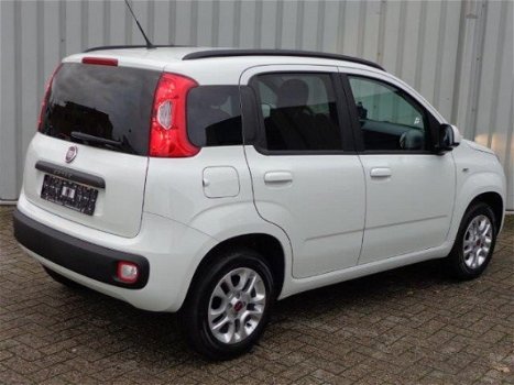 Fiat Panda - Nuova 1.2 Lounge - 1