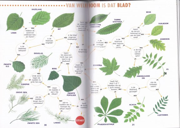 Natuurtalenten. Op zoek naar de bronnen in het bos - Afbeelding 4
