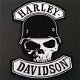 Rugpatch Harley Davidson ( laatste exemplaren OP = OP ) - 1 - Thumbnail