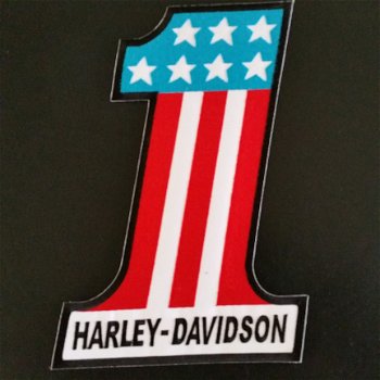 Rugpatch Harley Davidson ( laatste exemplaren OP = OP ) - 3