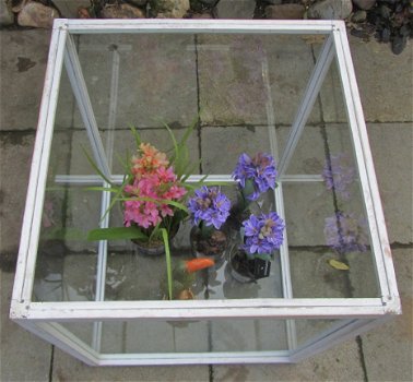 WINDOW BOX XL - VAN 59,95 BIJ SIBBELS VOOR 24,50 - 2