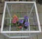 WINDOW BOX XL - VAN 59,95 BIJ SIBBELS VOOR 24,50 - 2 - Thumbnail