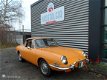 Fiat 850 - Sport Spider - 1 - Thumbnail