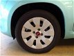 Fiat Panda - Twin Air 60 Edizione Cool / AIRCO - 1 - Thumbnail