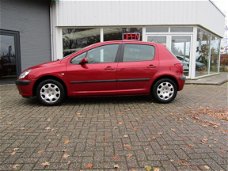 Peugeot 307 - 1.6-16V XT Betrouwbare technisch goede auto