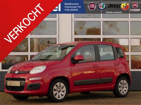 Fiat Panda - 1.2 Edizione Cool - 1