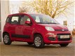 Fiat Panda - 1.2 Edizione Cool - 1 - Thumbnail