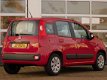 Fiat Panda - 1.2 Edizione Cool - 1 - Thumbnail