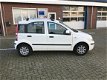 Fiat Panda - 1.2 Edizione Cool Orig. NL Airco Trekhaak Nieuwe Banden - 1 - Thumbnail