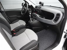 Fiat Panda - Turbo 80PK LOUNGE |PARKEERSENSOREN A ZIJDE |HOGE INSTAP