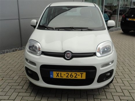 Fiat Panda - Turbo 80PK LOUNGE |PARKEERSENSOREN A ZIJDE |HOGE INSTAP - 1