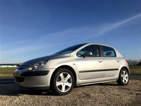 Peugeot 307 - 2.0-16V Gentry, BJ 2002, NAP, APK Jan 2021 - 1