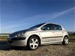 Peugeot 307 - 2.0-16V Gentry, BJ 2002, NAP, APK Jan 2021 - 1 - Thumbnail