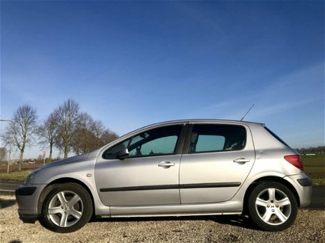 Peugeot 307 - 2.0-16V Gentry, BJ 2002, NAP, APK Jan 2021 - 1