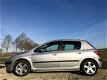 Peugeot 307 - 2.0-16V Gentry, BJ 2002, NAP, APK Jan 2021 - 1 - Thumbnail