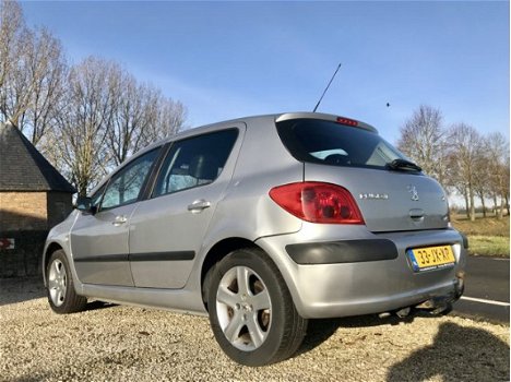 Peugeot 307 - 2.0-16V Gentry, BJ 2002, NAP, APK Jan 2021 - 1