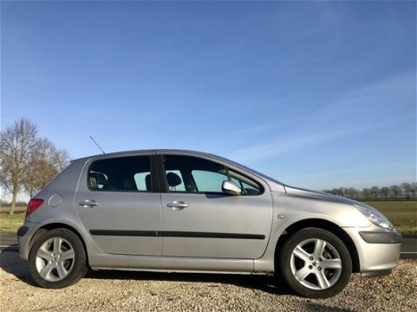 Peugeot 307 - 2.0-16V Gentry, BJ 2002, NAP, APK Jan 2021 - 1