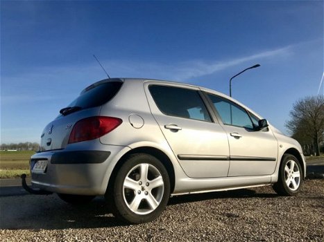 Peugeot 307 - 2.0-16V Gentry, BJ 2002, NAP, APK Jan 2021 - 1