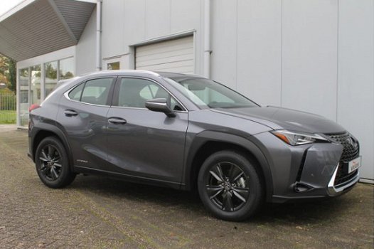 Lexus UX - 250h Business Line NIEUW - 1